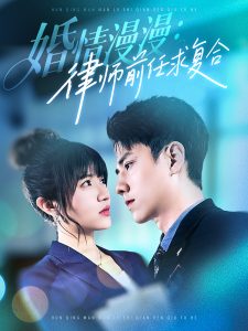 婚情漫漫，律師前任求復(fù)合